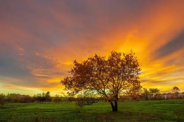 Jeda yang Menghubungkan: Peran Istirahat Singkat Antar Kegiatan